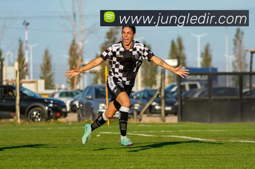 平台展示图
